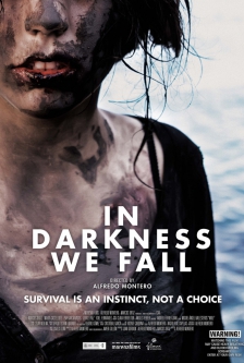 In Darkness We Fall
