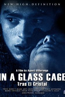 In a Glass Cage